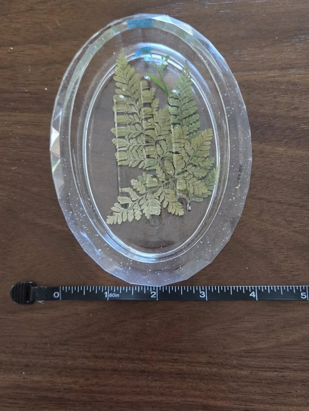Oval Nature Themed  Soap Dish - Clear  with Green Leaves/Blue Flower